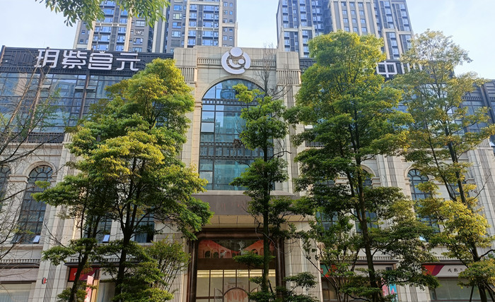 成都高新美學分院